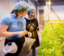 2022 Exemplary Participant: Vertical Harvest Farms