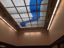 Case Study: University of Minnesota